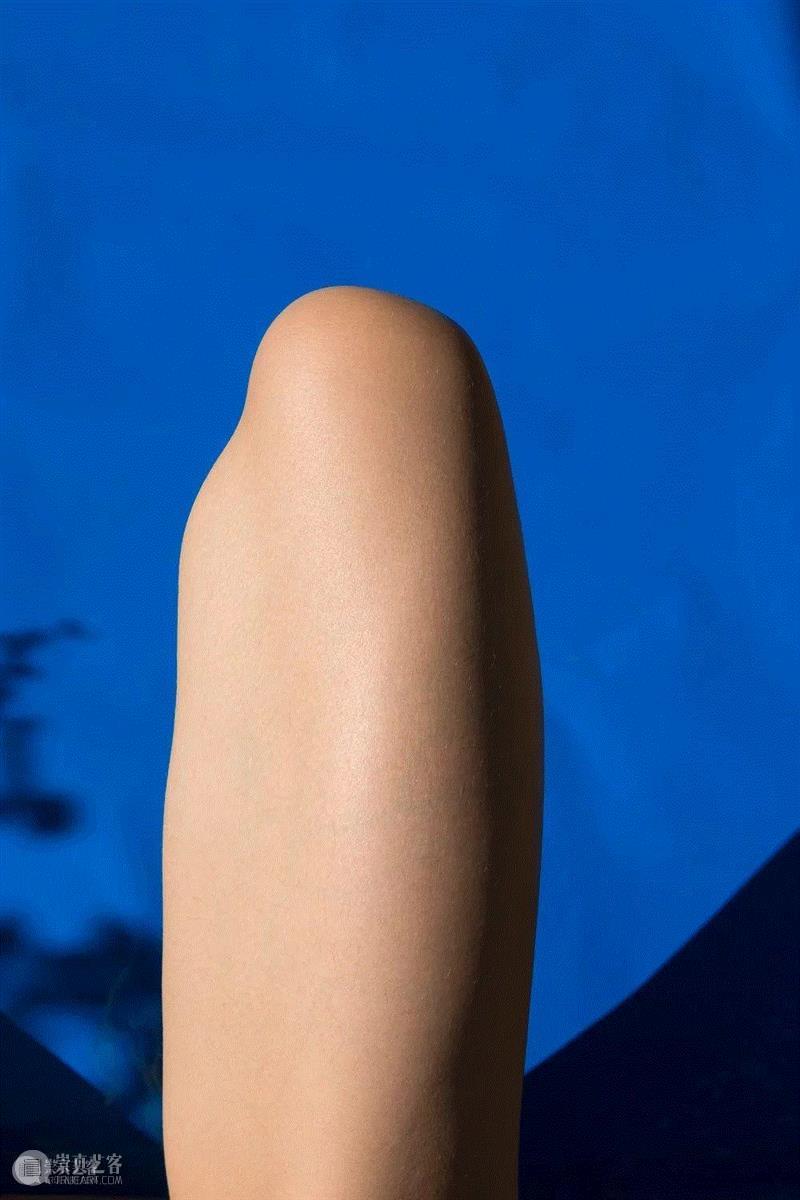 访谈 | 一位害羞的表现者Viviane Sassen的失去与渴望 Ⅱ,女性,模特,时尚,男性,相机,影子,紧张感