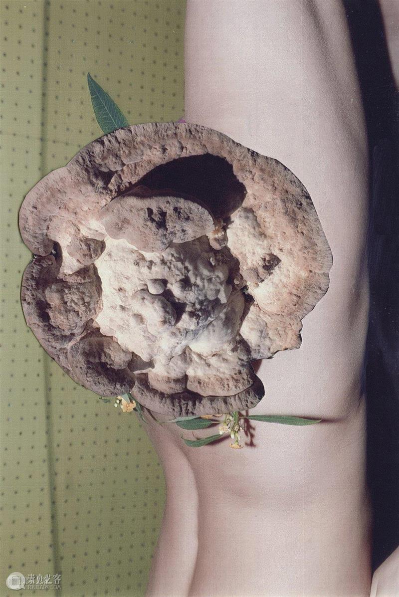 访谈 | 一位害羞的表现者Viviane Sassen的失去与渴望 Ⅱ,女性,模特,时尚,男性,相机,影子,紧张感