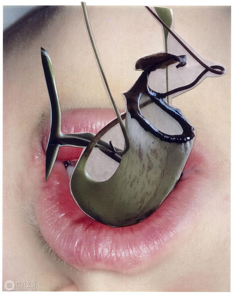 访谈 | 一位害羞的表现者Viviane Sassen的失去与渴望 Ⅱ,女性,模特,时尚,男性,相机,影子,紧张感