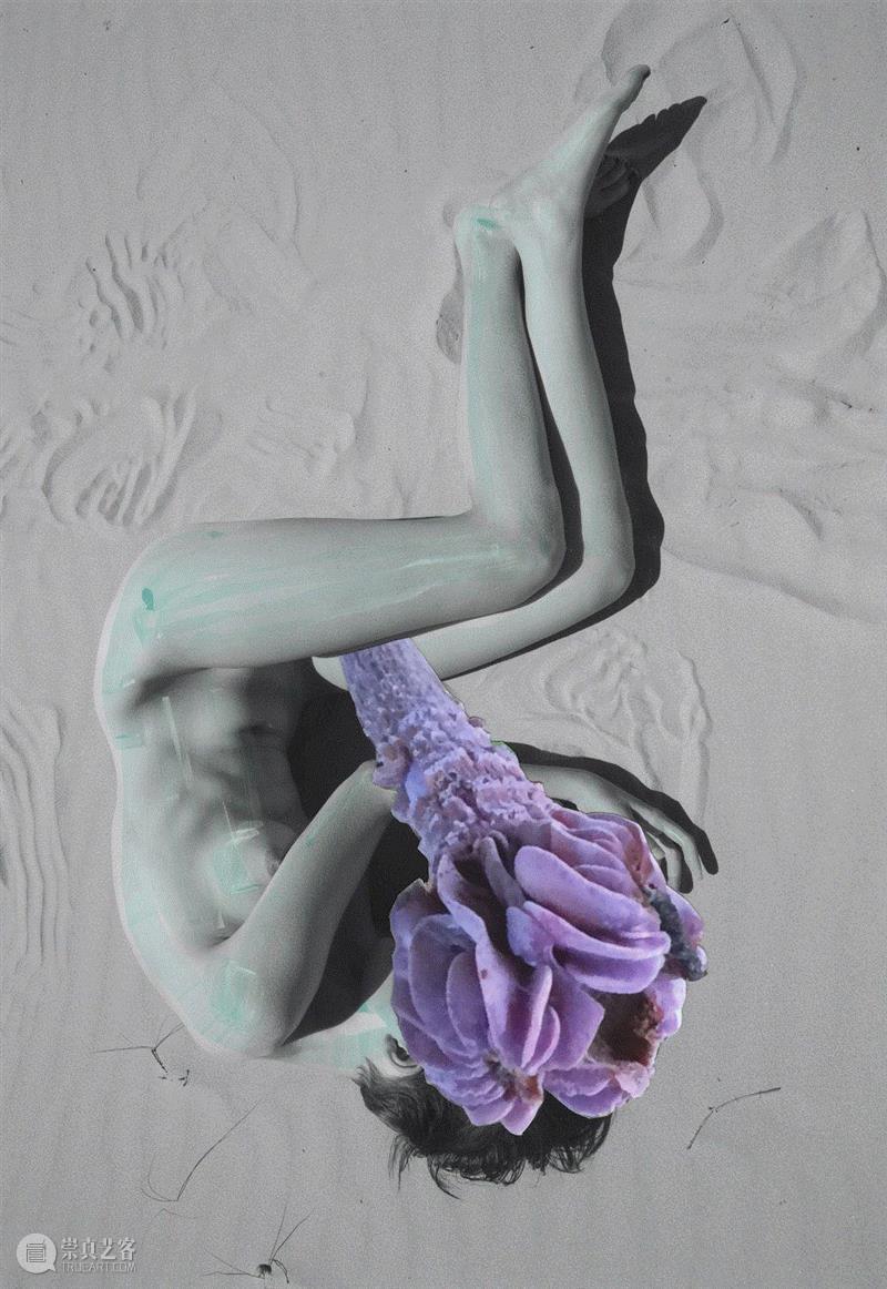 访谈 | 一位害羞的表现者Viviane Sassen的失去与渴望 Ⅱ,女性,模特,时尚,男性,相机,影子,紧张感