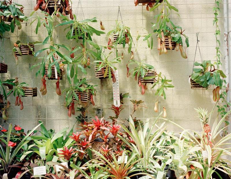 申请倒计时!2020年艺术家驻留之行近在咫尺,倒计时,瑞士,苏黎世,陈海舒,基金会,感言,舞蹈,当地,温特图尔,驻地