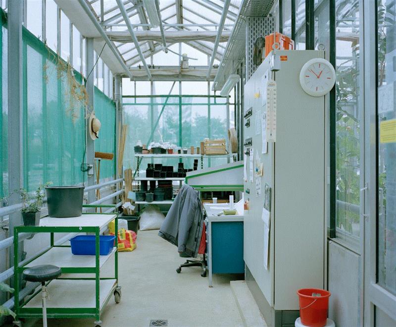 申请倒计时!2020年艺术家驻留之行近在咫尺,倒计时,瑞士,苏黎世,陈海舒,基金会,感言,舞蹈,当地,温特图尔,驻地