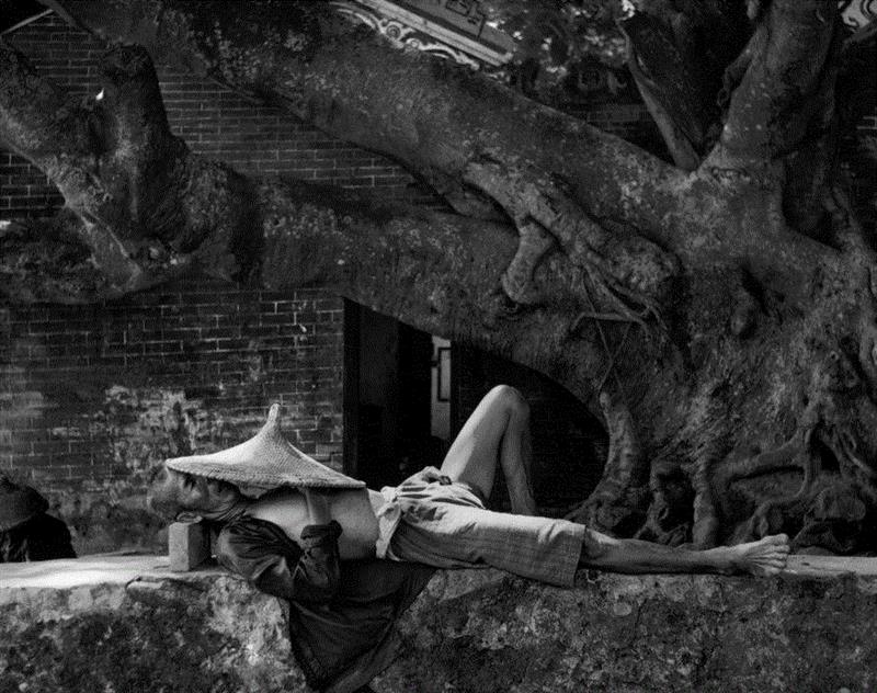 诗人走向词语正如自然走向枯枝,诗人,枯枝,诗歌,坛子,史蒂文斯,皇帝,冰淇淋,精英,华莱士,马永波