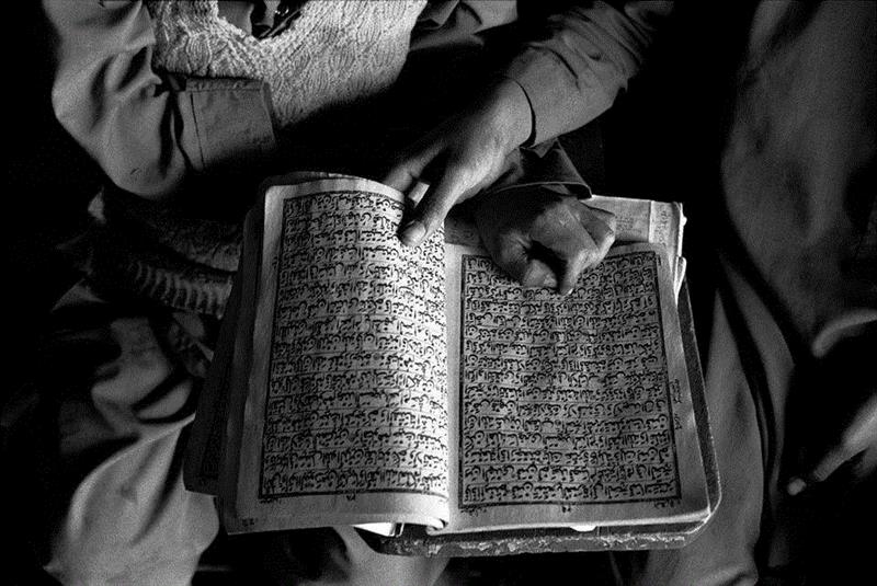 诗人走向词语正如自然走向枯枝,诗人,枯枝,诗歌,坛子,史蒂文斯,皇帝,冰淇淋,精英,华莱士,马永波