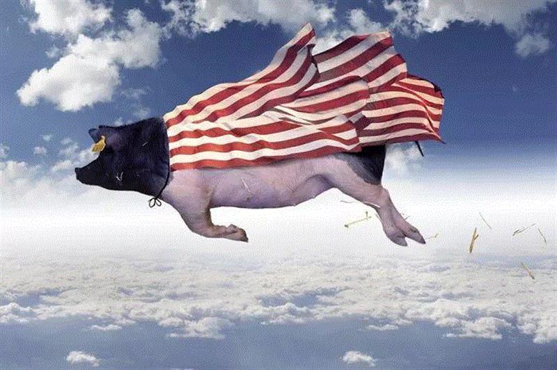 在旅途的过程中,托马斯产生了这样设想:如果这些动物并非我们所熟悉的样子,而是像动画片里那样无忧无虑的