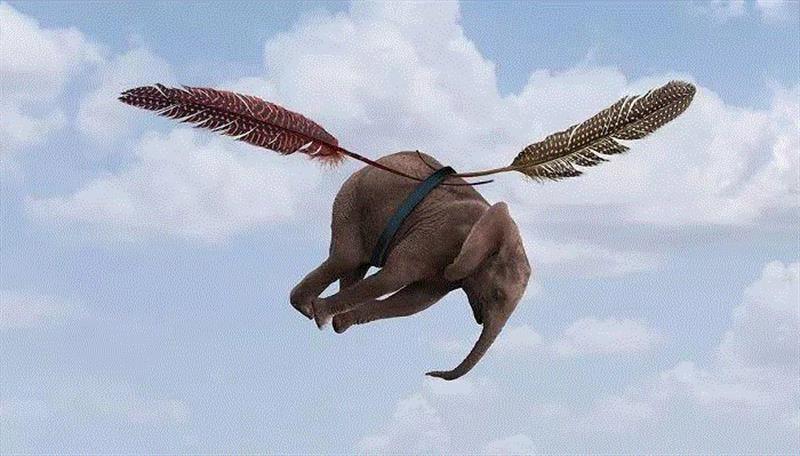 摄影丨当心,这些动物将会萌进你的心,托马斯,非洲,野生动物,这个词,巴黎,上方,右上,Hakuna,Matata,斯瓦希里语