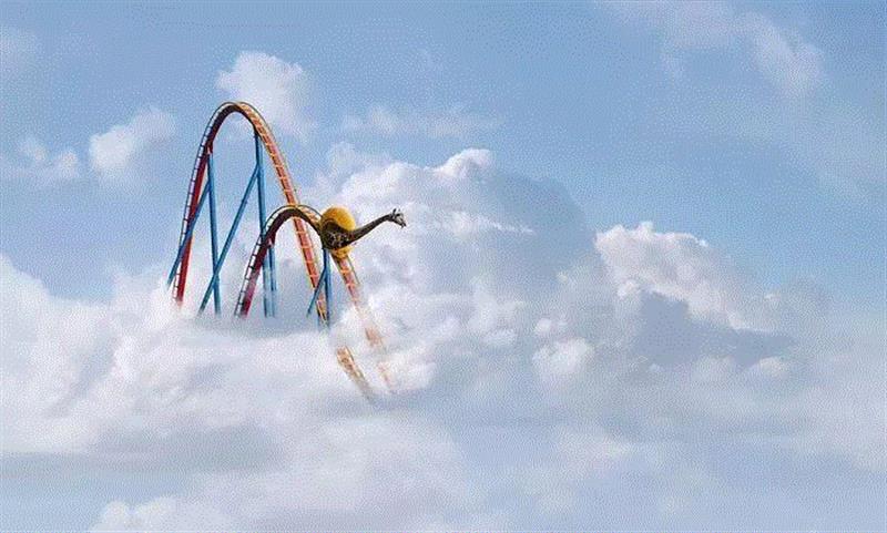 摄影丨当心,这些动物将会萌进你的心,托马斯,非洲,野生动物,这个词,巴黎,上方,右上,Hakuna,Matata,斯瓦希里语