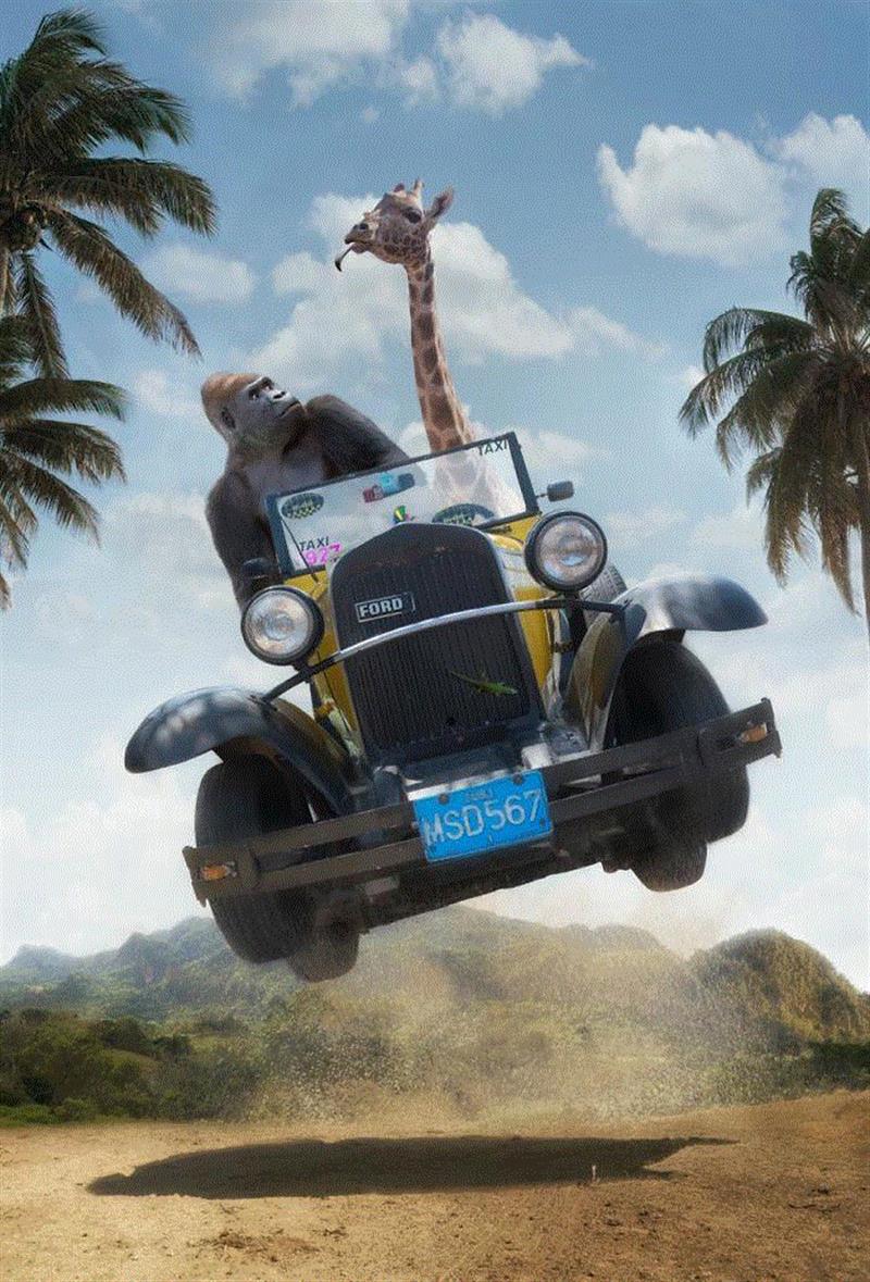 摄影丨当心,这些动物将会萌进你的心,托马斯,非洲,野生动物,这个词,巴黎,上方,右上,Hakuna,Matata,斯瓦希里语