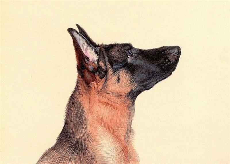 出门旅行,一个速写本足以!,速写本,素描,人物,肖像,油画,习作,颜色,圆珠笔,草图,静物