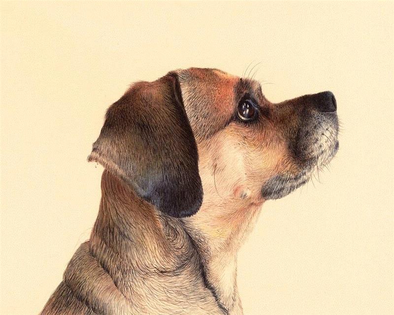 出门旅行,一个速写本足以!,速写本,素描,人物,肖像,油画,习作,颜色,圆珠笔,草图,静物