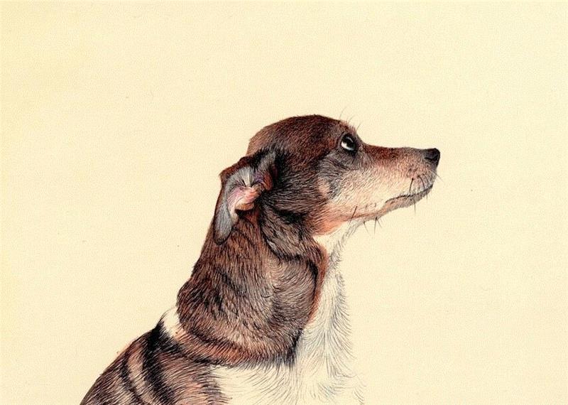 出门旅行,一个速写本足以!,速写本,素描,人物,肖像,油画,习作,颜色,圆珠笔,草图,静物