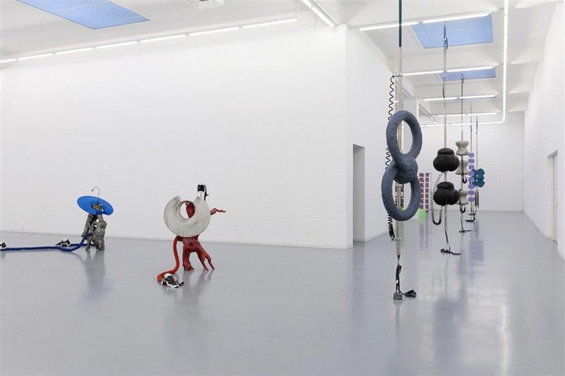 现场 | 关小个展 @ Bonner Kunstverein,小个展,Detail,玻璃钢,丙烯,农业,纪录片,窗户,麻绳,关小,雕塑