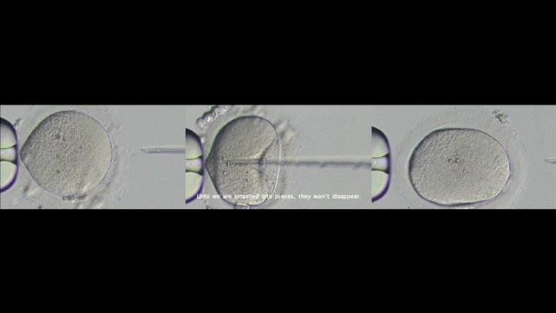 Three -channel video 三屏录像,现场 | 关小个展 @ Bonner Kunstverein,小个展,Detail,玻璃钢,丙烯,农业,纪录片,窗户,麻绳,关小,雕塑