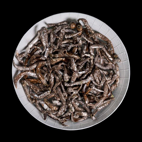 豪瑟沃斯荣幸宣布在全球范围内代理意大利艺术家罗伯特·库奇,豪瑟,意大利,罗伯特·库奇,罗伯特,Alessandra,Sofia,感情,之中,实验,边界