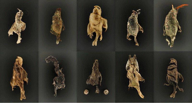 豪瑟沃斯荣幸宣布在全球范围内代理意大利艺术家罗伯特·库奇,豪瑟,意大利,罗伯特·库奇,罗伯特,Alessandra,Sofia,感情,之中,实验,边界