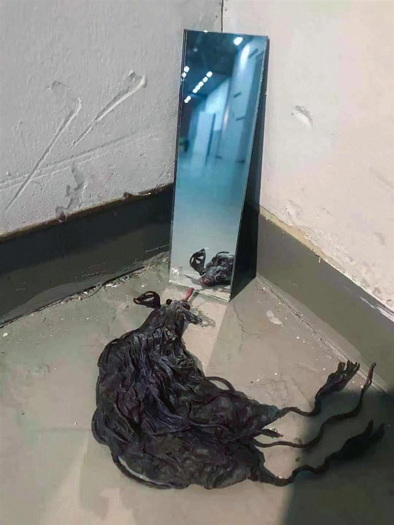 抓住二月的“小尾巴”,PSA邀你和小动物一起玩“捉迷藏”!,PSA,尾巴,捉迷藏,上海双年展,小老鼠,上海当代艺术博物馆,上海戏剧学院,微博,戏艺,主策展人