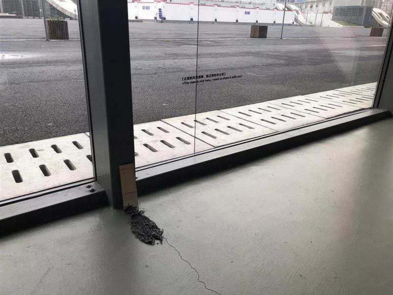 抓住二月的“小尾巴”,PSA邀你和小动物一起玩“捉迷藏”!,PSA,尾巴,捉迷藏,上海双年展,小老鼠,上海当代艺术博物馆,上海戏剧学院,微博,戏艺,主策展人