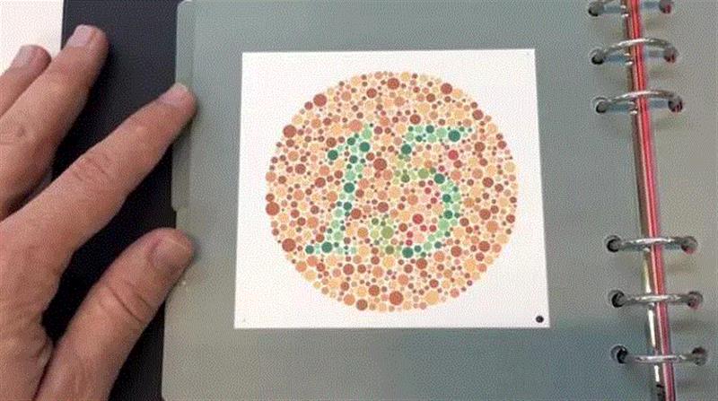 但是色弱并没有阻碍他成为艺术家，Daniel凭借着对艺术、建筑学的喜爱，考上艺术院校，并在毕业后成为