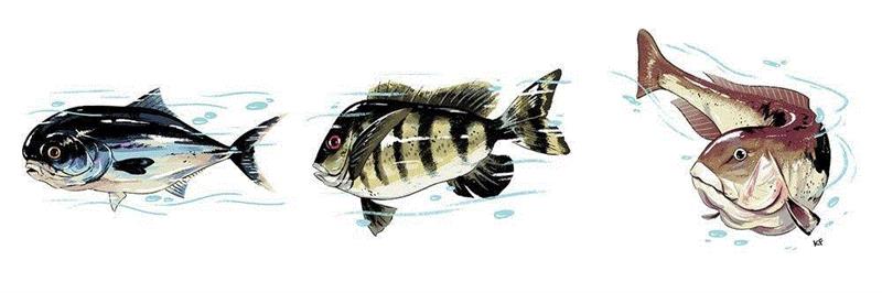 插画丨色彩与想象 都恰如其分,插画,上方,右上,Fewell,三只猫,布鲁克林,媒体,插图,眼球,豆腐丝