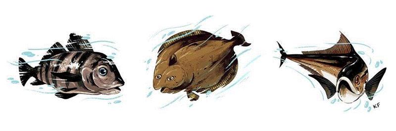 插画丨色彩与想象 都恰如其分,插画,上方,右上,Fewell,三只猫,布鲁克林,媒体,插图,眼球,豆腐丝