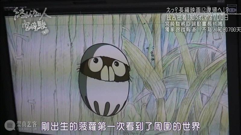 宫崎峻的纪录片，让中国整个电影行业面壁思过,电影,日本,工作室,宫崎骏,纪录片,动画,豆瓣,宫崎峻,爷爷,老爷爷