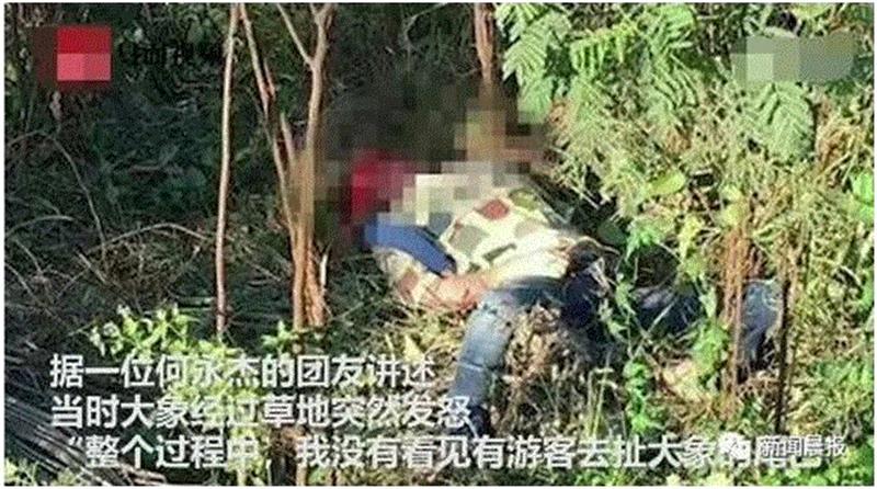 “女试衣间里面的罪恶”：无数人向往的国度，真的安全吗？,里面,罪恶,试衣间,国度,泰国,警察,女孩,大象,器官,丈夫