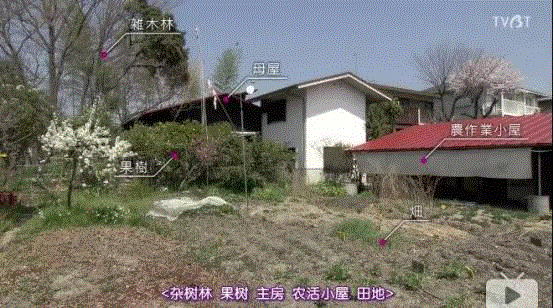 豆瓣9.6分，看了这对90岁老夫妻的神仙日子，我们真的是在虚度此生！,老夫妻,神仙日子,此生,豆瓣,爷爷,奶奶,日子,房子,英子,家里