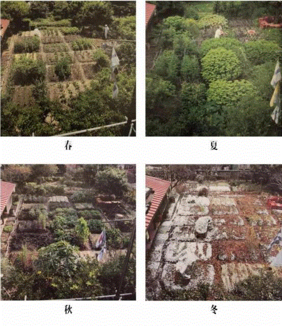 早晨一起床，爷爷去挖竹笋。,豆瓣9.6分，看了这对90岁老夫妻的神仙日子，我们真的是在虚度此生！,老夫妻,神仙日子,此生,豆瓣,爷爷,奶奶,日子,房子,英子,家里
