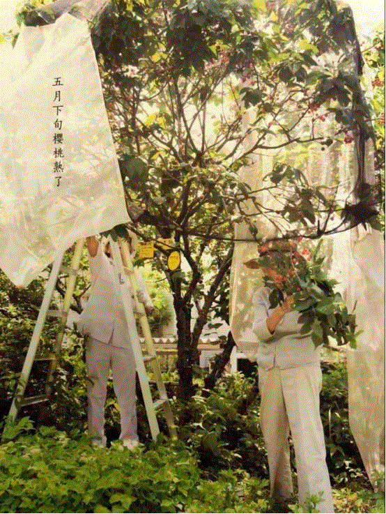 豆瓣9.6分，看了这对90岁老夫妻的神仙日子，我们真的是在虚度此生！,老夫妻,神仙日子,此生,豆瓣,爷爷,奶奶,日子,房子,英子,家里