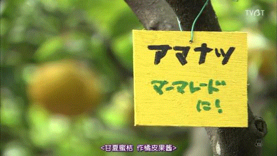 豆瓣9.6分，看了这对90岁老夫妻的神仙日子，我们真的是在虚度此生！,老夫妻,神仙日子,此生,豆瓣,爷爷,奶奶,日子,房子,英子,家里