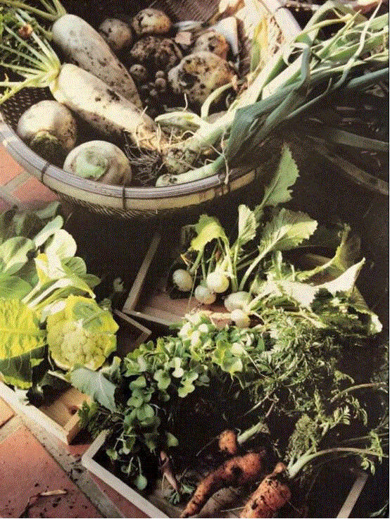 豆瓣9.6分，看了这对90岁老夫妻的神仙日子，我们真的是在虚度此生！,老夫妻,神仙日子,此生,豆瓣,爷爷,奶奶,日子,房子,英子,家里