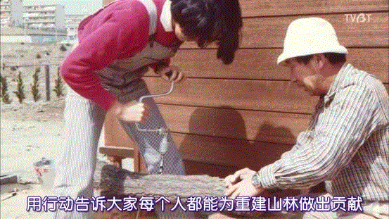 豆瓣9.6分，看了这对90岁老夫妻的神仙日子，我们真的是在虚度此生！,老夫妻,神仙日子,此生,豆瓣,爷爷,奶奶,日子,房子,英子,家里