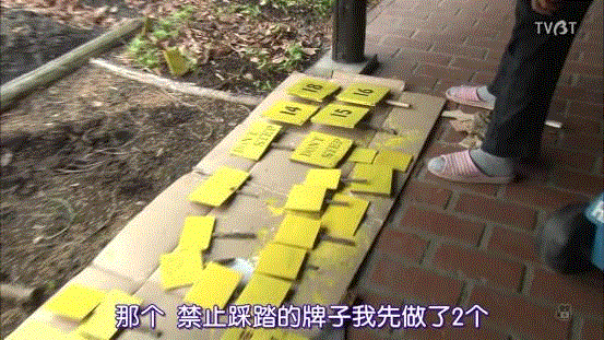 豆瓣9.6分，看了这对90岁老夫妻的神仙日子，我们真的是在虚度此生！,老夫妻,神仙日子,此生,豆瓣,爷爷,奶奶,日子,房子,英子,家里