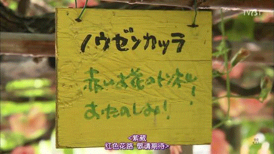 豆瓣9.6分，看了这对90岁老夫妻的神仙日子，我们真的是在虚度此生！,老夫妻,神仙日子,此生,豆瓣,爷爷,奶奶,日子,房子,英子,家里