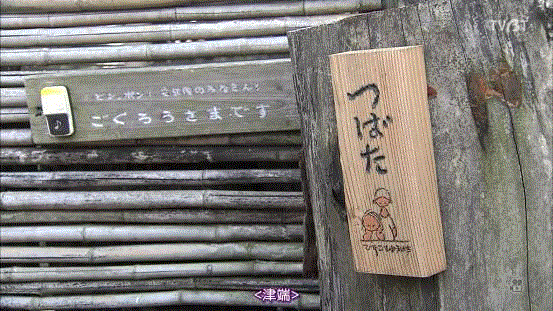 豆瓣9.6分，看了这对90岁老夫妻的神仙日子，我们真的是在虚度此生！,老夫妻,神仙日子,此生,豆瓣,爷爷,奶奶,日子,房子,英子,家里