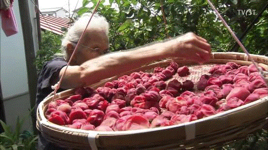 豆瓣9.6分，看了这对90岁老夫妻的神仙日子，我们真的是在虚度此生！,老夫妻,神仙日子,此生,豆瓣,爷爷,奶奶,日子,房子,英子,家里