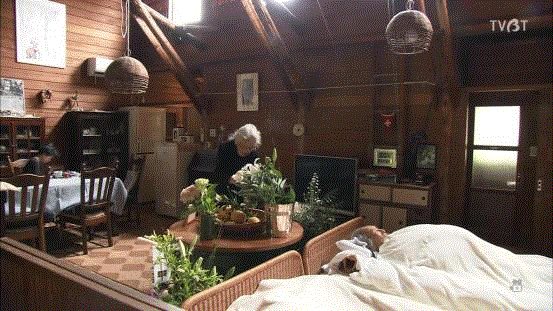 豆瓣9.6分，看了这对90岁老夫妻的神仙日子，我们真的是在虚度此生！,老夫妻,神仙日子,此生,豆瓣,爷爷,奶奶,日子,房子,英子,家里