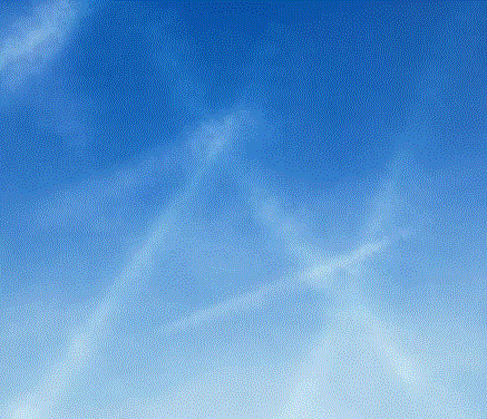 塔西塔 · 迪恩 / 《洛杉矶的勃勃生机5》,2016 / 手绘三色混合石版画