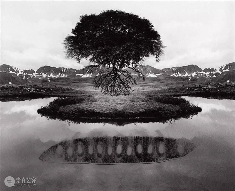 美国当代摄影师的超现实主义作品,摄影师,超现实主义,尤斯曼,杰瑞,暗房,影像,外面,技巧,特技,树枝