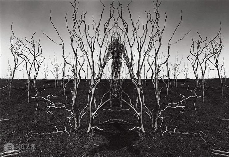 美国当代摄影师的超现实主义作品,摄影师,超现实主义,尤斯曼,杰瑞,暗房,影像,外面,技巧,特技,树枝