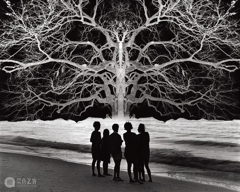 美国当代摄影师的超现实主义作品,摄影师,超现实主义,尤斯曼,杰瑞,暗房,影像,外面,技巧,特技,树枝