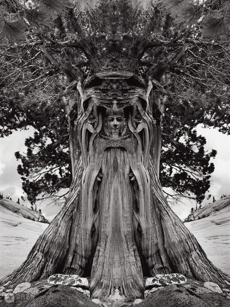 美国当代摄影师的超现实主义作品,摄影师,超现实主义,尤斯曼,杰瑞,暗房,影像,外面,技巧,特技,树枝