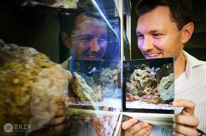 亚历克斯·乔丹，德国马克斯普朗克鸟类研究所研究动物行为的进化生物学家。他受到启发，想要测试社会性鱼类