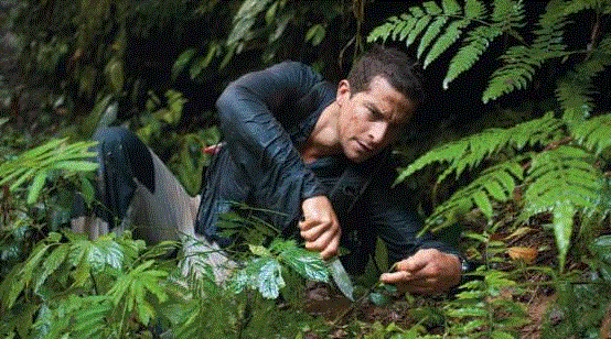 比“贝爷”更猛的男人，带着女儿野外求生,女儿,野外,贝爷,父亲,荒野,汤姆,父女,威尔,二人,海马