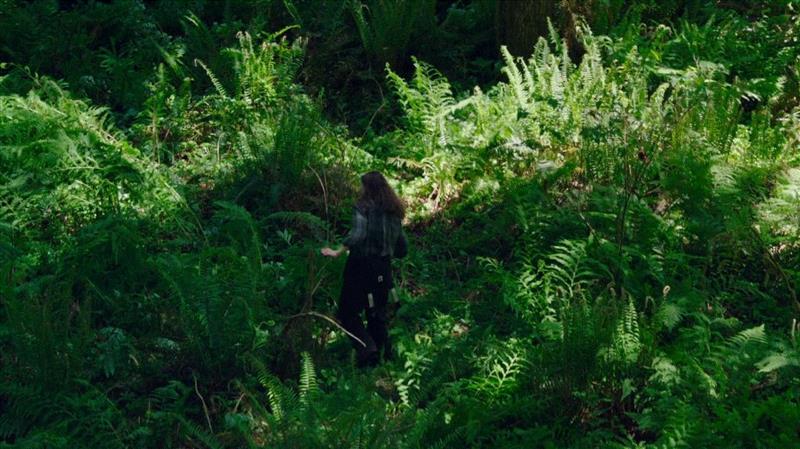 比“贝爷”更猛的男人，带着女儿野外求生,女儿,野外,贝爷,父亲,荒野,汤姆,父女,威尔,二人,海马