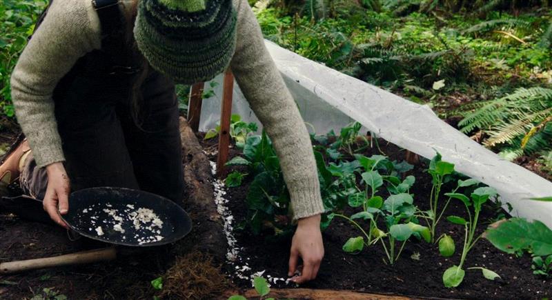 比“贝爷”更猛的男人，带着女儿野外求生,女儿,野外,贝爷,父亲,荒野,汤姆,父女,威尔,二人,海马