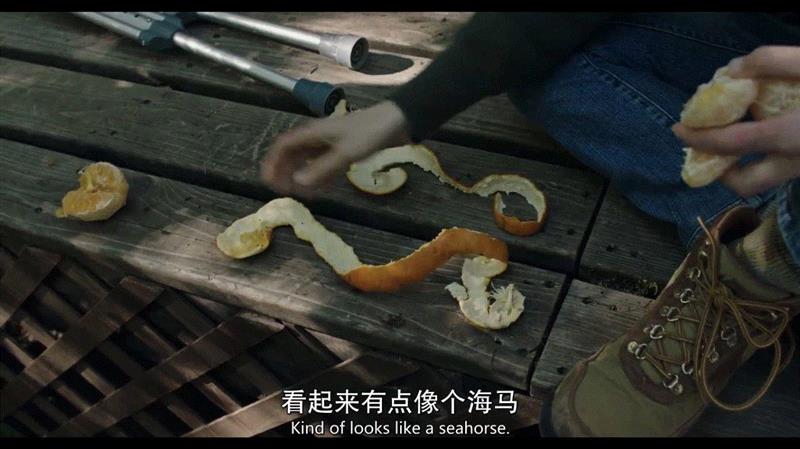 比“贝爷”更猛的男人，带着女儿野外求生,女儿,野外,贝爷,父亲,荒野,汤姆,父女,威尔,二人,海马