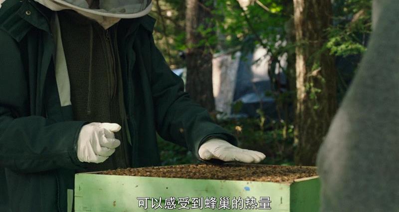 比“贝爷”更猛的男人，带着女儿野外求生,女儿,野外,贝爷,父亲,荒野,汤姆,父女,威尔,二人,海马