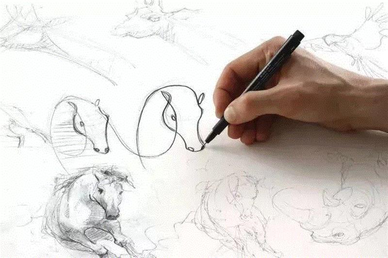 一笔画丨并没有想象的那么简单~,笔画,素描,开头,结尾,法国,工作室,DFT,动画,众人,以上