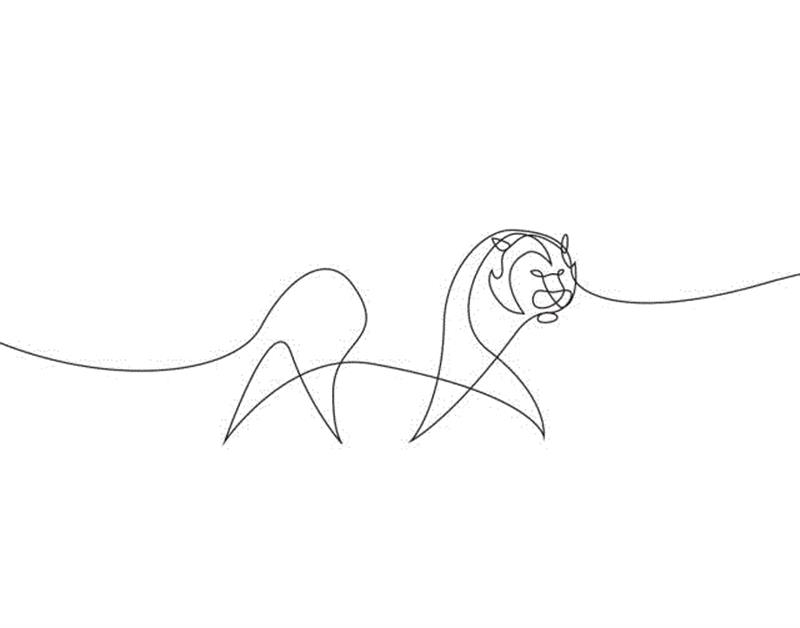 一笔画丨并没有想象的那么简单~,笔画,素描,开头,结尾,法国,工作室,DFT,动画,众人,以上